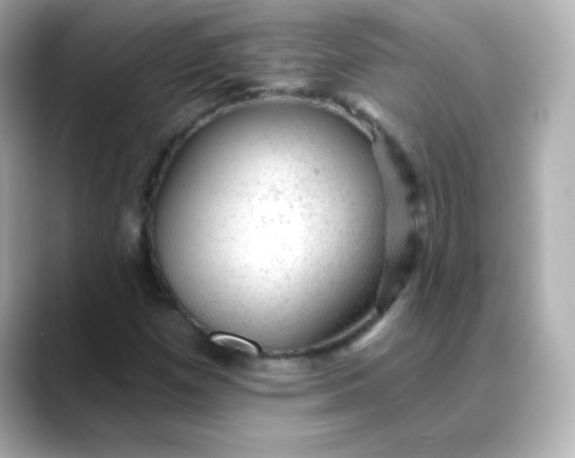 X0000088391257200706051111