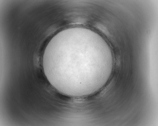 X0000088391258200706051111