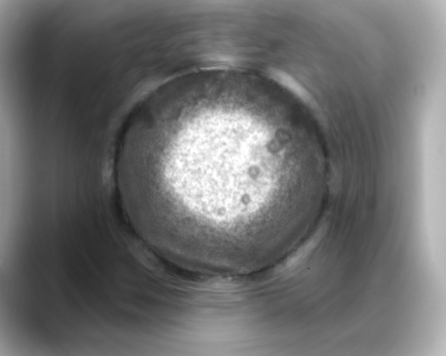 X0000088391259200706051111