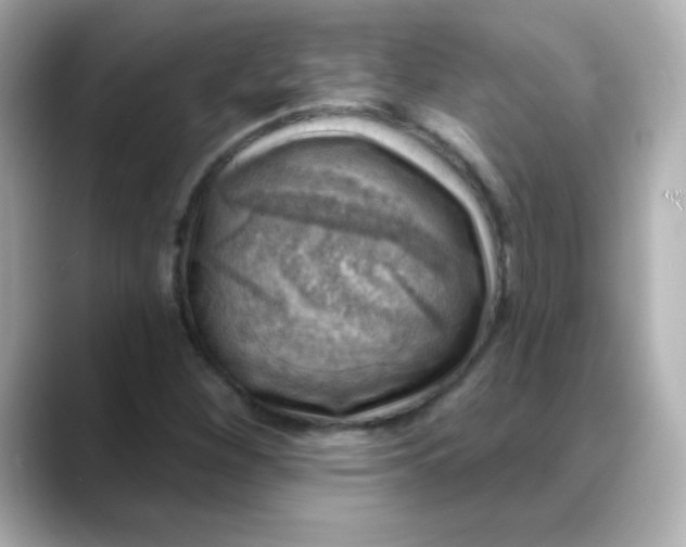 X0000088391260200706051111