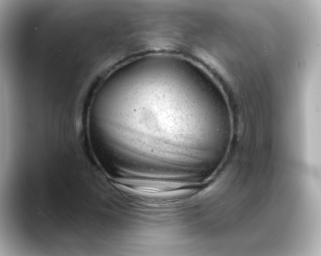 X0000088391261200706051111