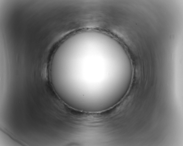 X0000088391262200706051111