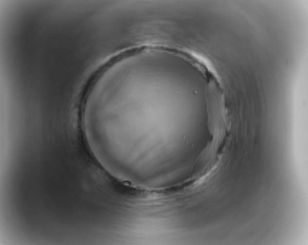 X0000088391263200706051111