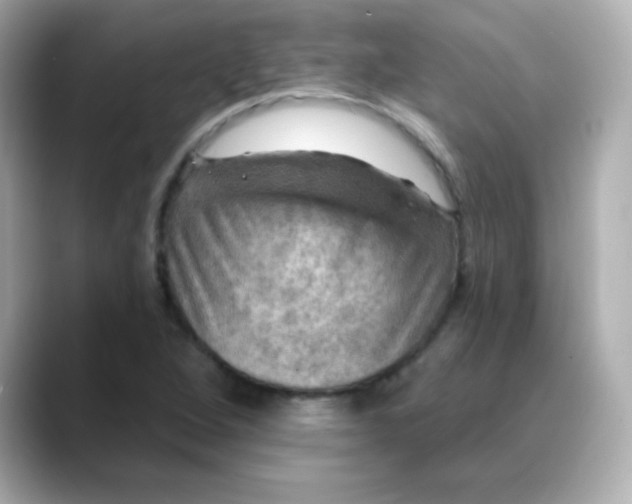 X0000088391264200706051111