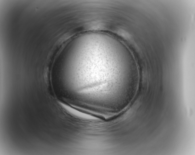 X0000088391265200706051111