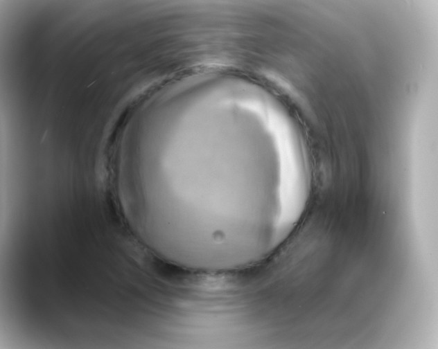 X0000088391266200706051111