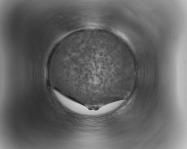 X0000088391267200706051111