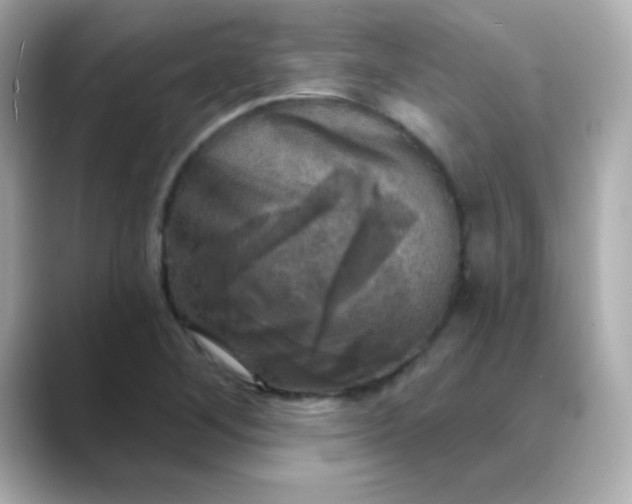 X0000088391268200706051111