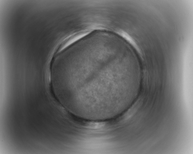 X0000088391269200706051111