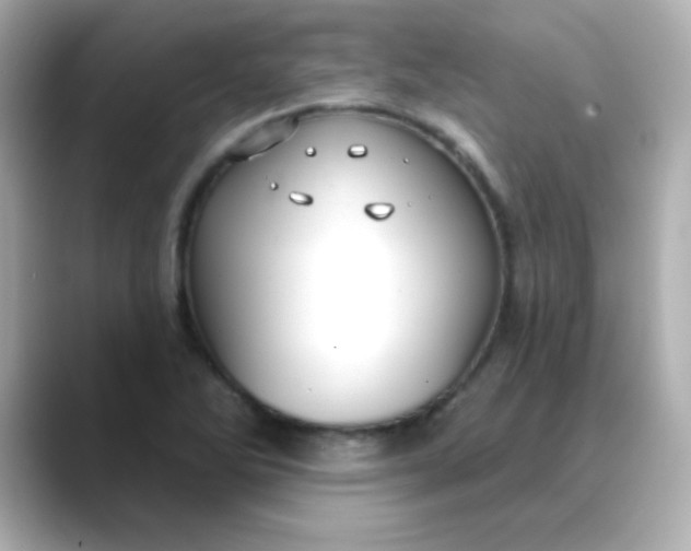 X0000088391270200706051111