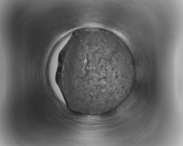 X0000088391271200706051111