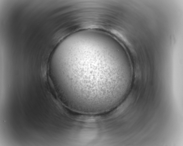 X0000088391273200706051111