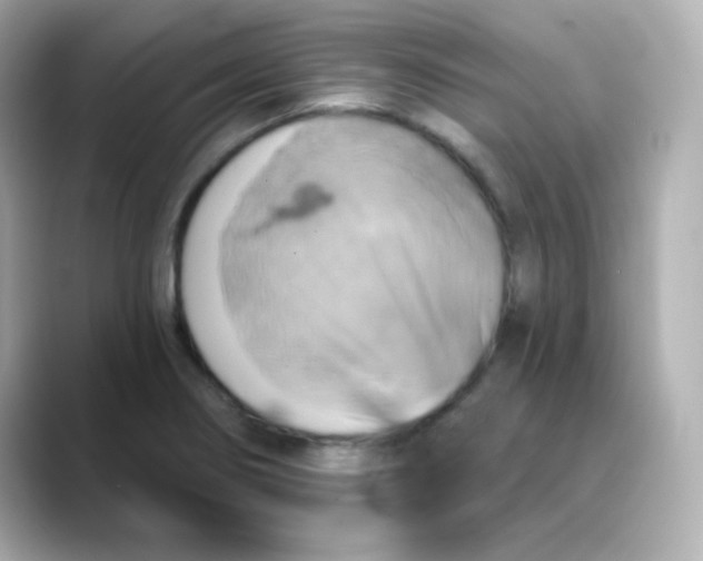 X0000088391274200706051111