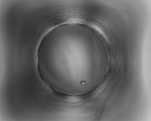 X0000088391275200706051111