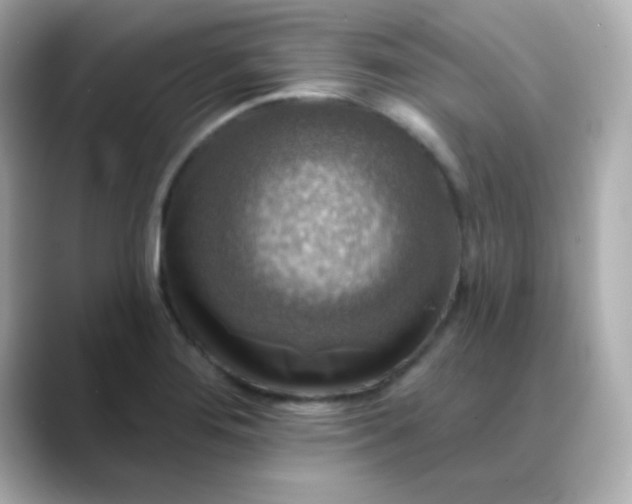 X0000088391276200706051111