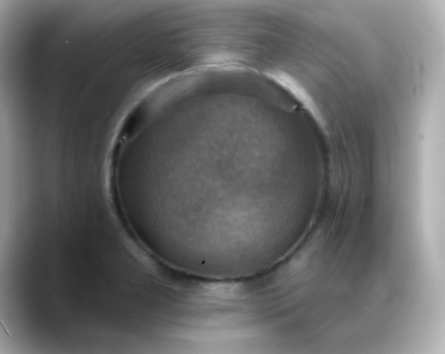 X0000088391277200706051111