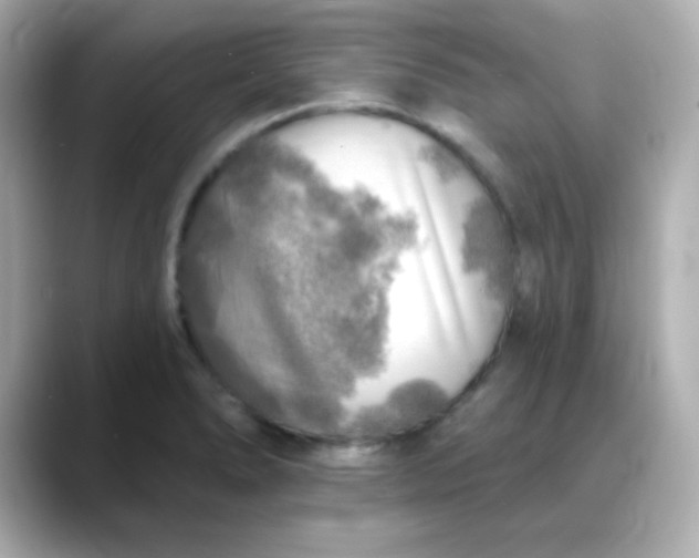 X0000088391278200706051111