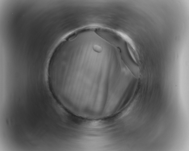 X0000088391279200706051111