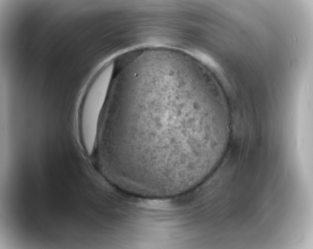 X0000088391280200706051111