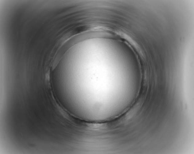 X0000088391281200706051111