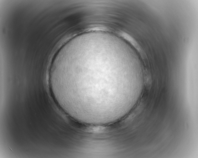 X0000088391282200706051111