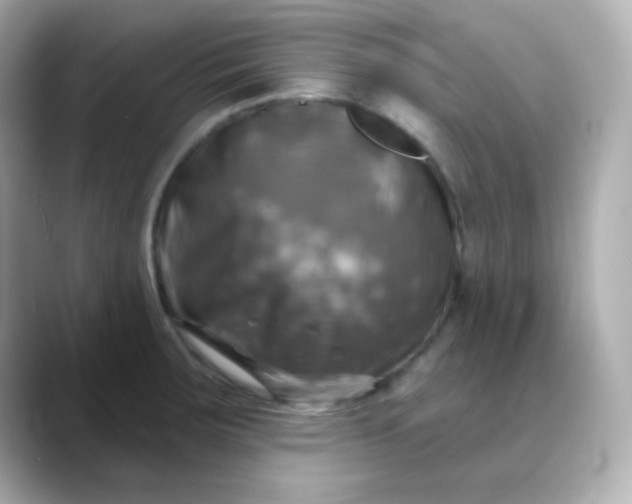 X0000088391283200706051111