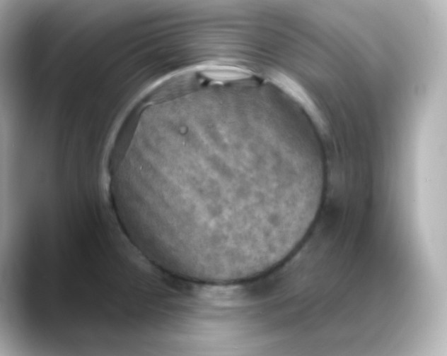 X0000088391284200706051111