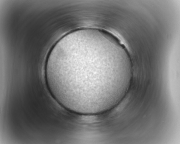 X0000088391285200706051111