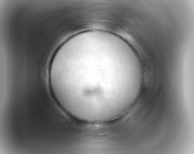 X0000088391286200706051111