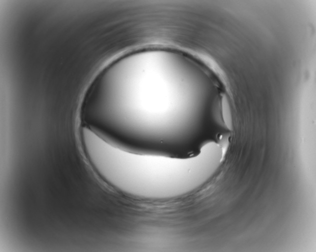 X0000088391287200706051111