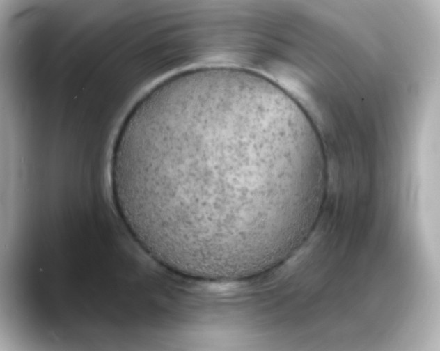 X0000088391288200706051111