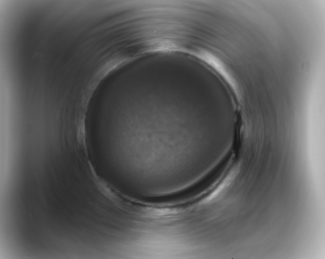 X0000088391289200706051111