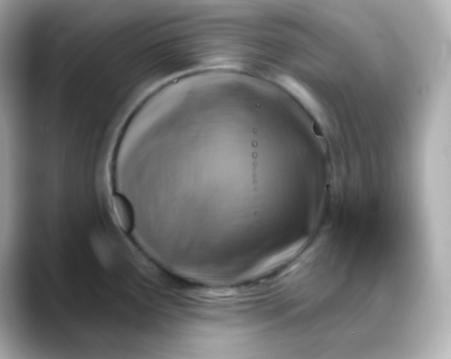 X0000088391291200706051111