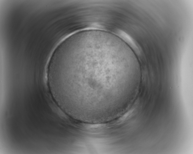 X0000088391292200706051111