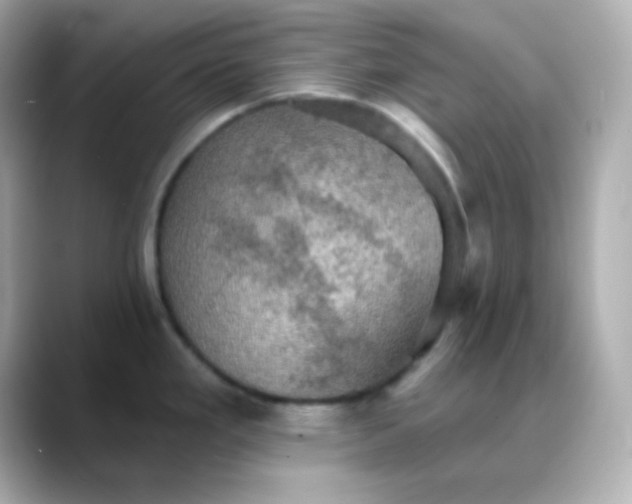 X0000088391293200706051111