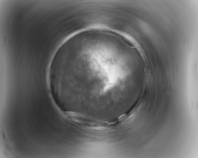 X0000088391295200706051111