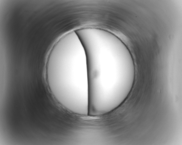 X0000088391296200706051111