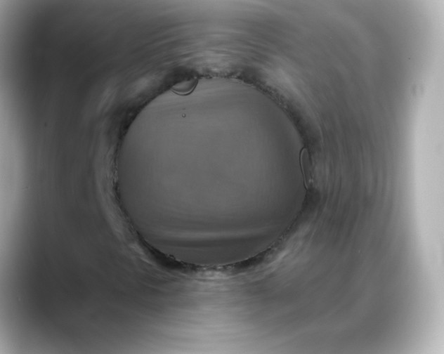 X0000088391297200706051110