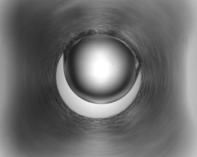 X0000088391298200706051110