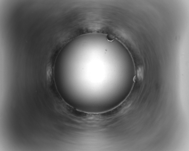 X0000088391299200706051110