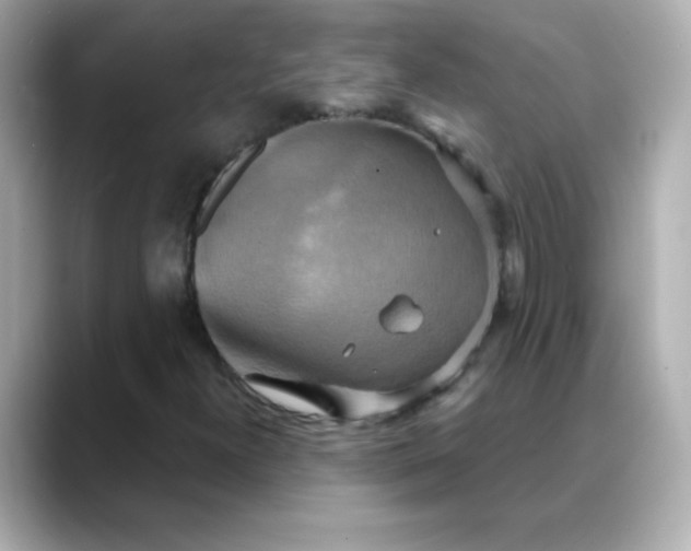 X0000088391300200706051110