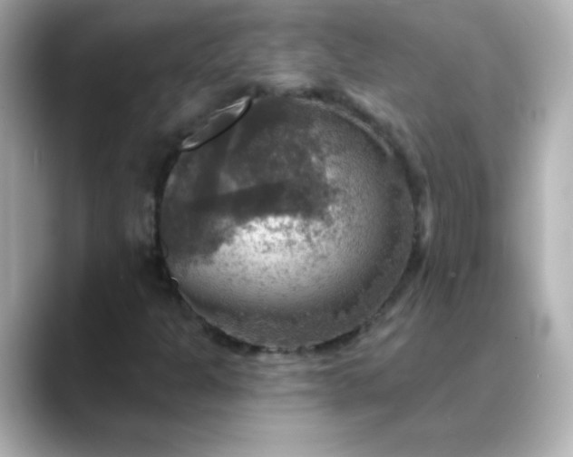 X0000088391301200706051110