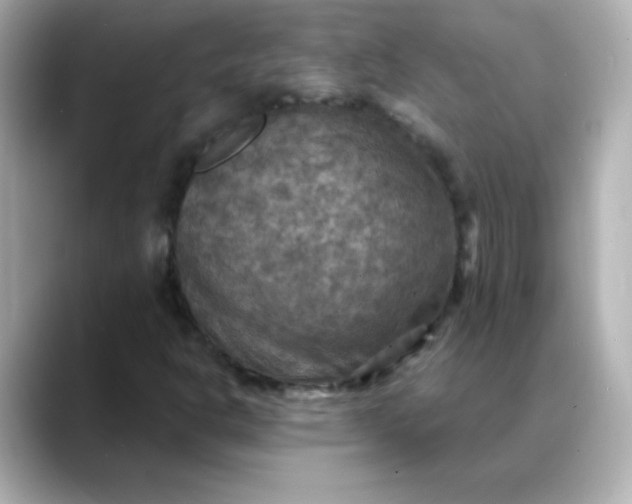 X0000088391302200706051110