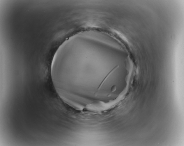 X0000088391303200706051110