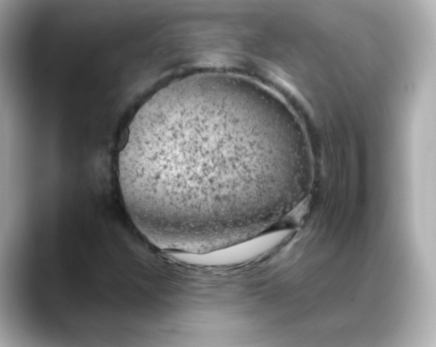 X0000088391304200706051110