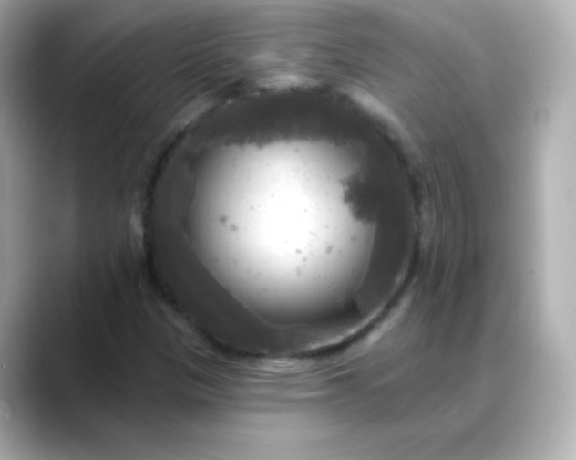 X0000088391305200706051110