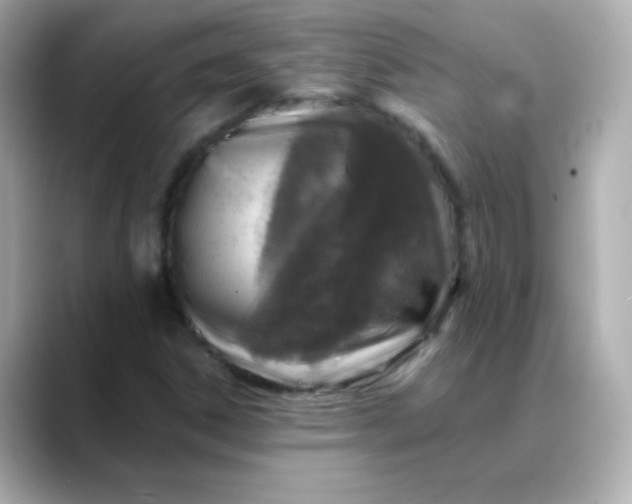 X0000088391306200706051110