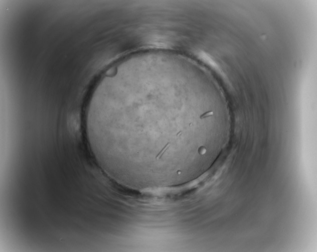 X0000088391307200706051110