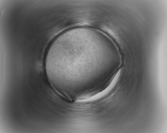 X0000088391308200706051110