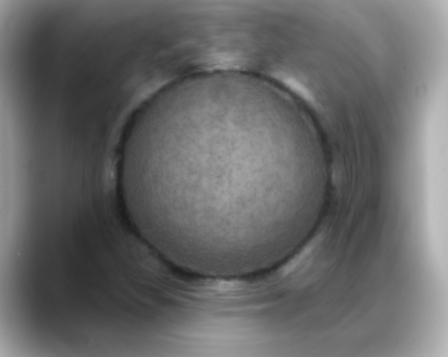 X0000088391309200706051110